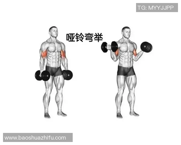 哑铃锻炼肌肉的最佳方法与技巧分享助你塑造完美身材