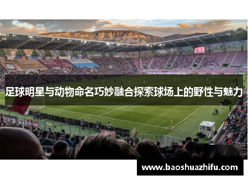 足球明星与动物命名巧妙融合探索球场上的野性与魅力