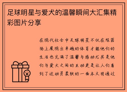 足球明星与爱犬的温馨瞬间大汇集精彩图片分享